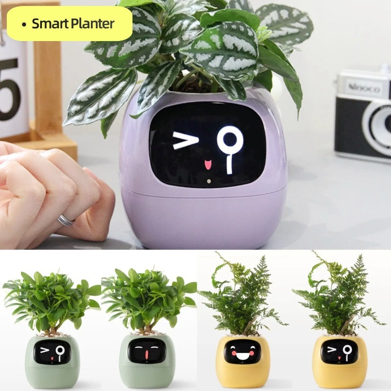 Smart Planter with AI