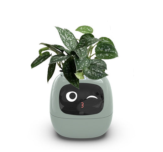 Smart Planter with AI