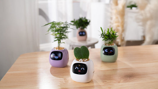 Smart Planters: Fun Plant Care
